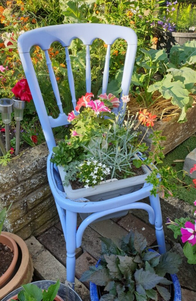 Flower chair | Photofolio - Stock Photos