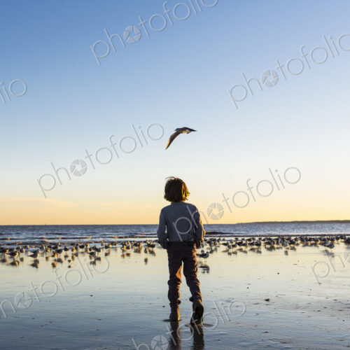 6 year old boy and seagulls, St. Simon's Island, Georgia 6 year old boy and seagulls, St. Simon's Island, Georgia