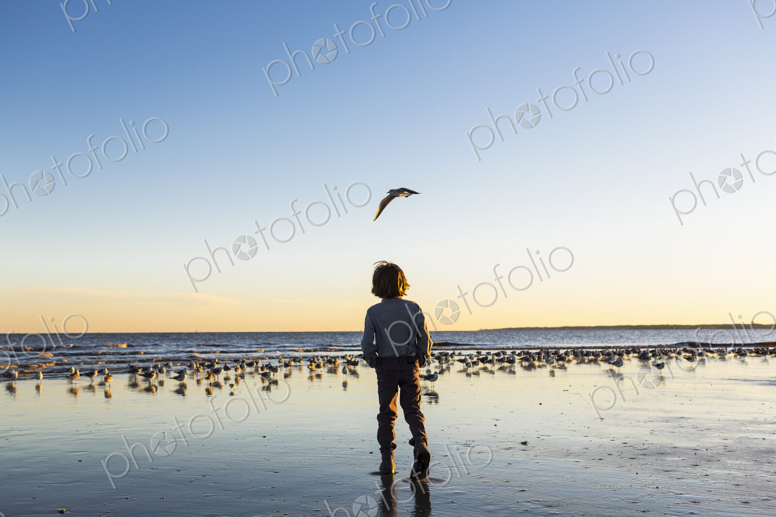 6 year old boy and seagulls, St. Simon’s Island, Georgia