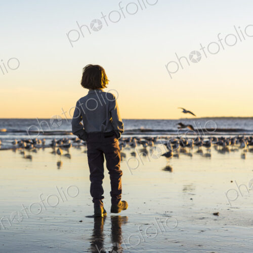 6 year old boy and seagulls, St. Simon's Island, Georgia 6 year old boy and seagulls, St. Simon's Island, Georgia