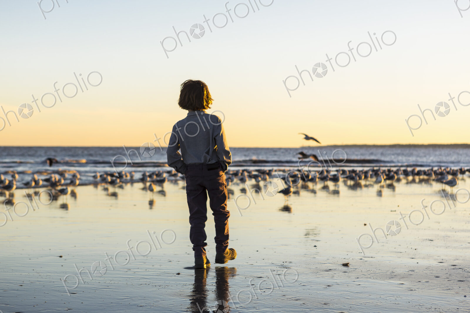 6 year old boy and seagulls, St. Simon’s Island, Georgia