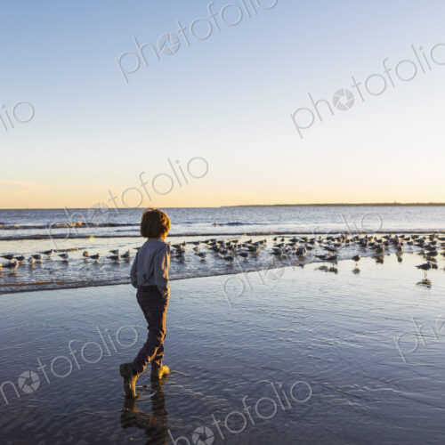 6 year old boy and seagulls, St. Simon's Island, Georgia 6 year old boy and seagulls, St. Simon's Island, Georgia