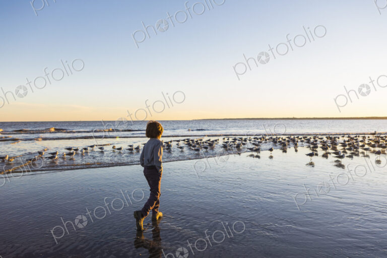 6 year old boy and seagulls, St. Simon's Island, Georgia