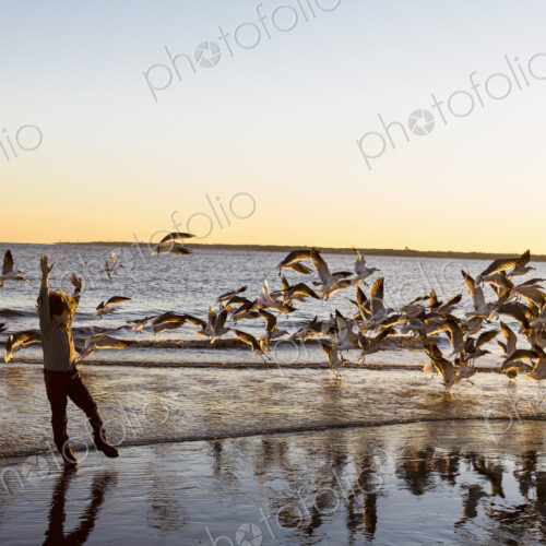 6 year old boy and seagulls, St. Simon's Island, Georgia 6 year old boy and seagulls, St. Simon's Island, Georgia