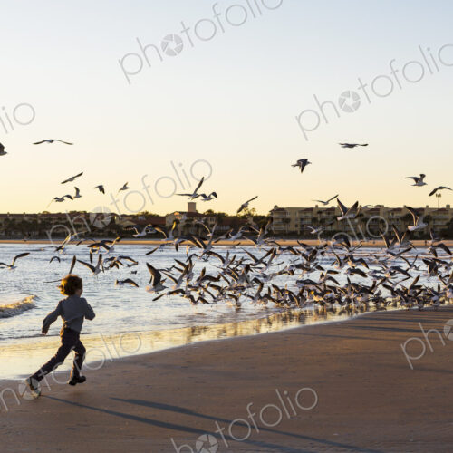 6 year old boy and seagulls, St. Simon's Island, Georgia 6 year old boy and seagulls, St. Simon's Island, Georgia