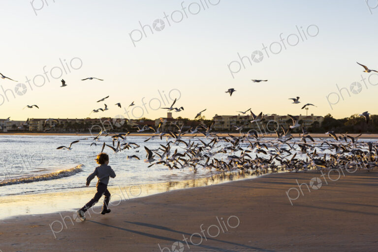 6 year old boy and seagulls, St. Simon's Island, Georgia