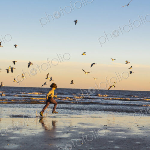 6 year old boy and seagulls, St. Simon's Island, Georgia 6 year old boy and seagulls, St. Simon's Island, Georgia