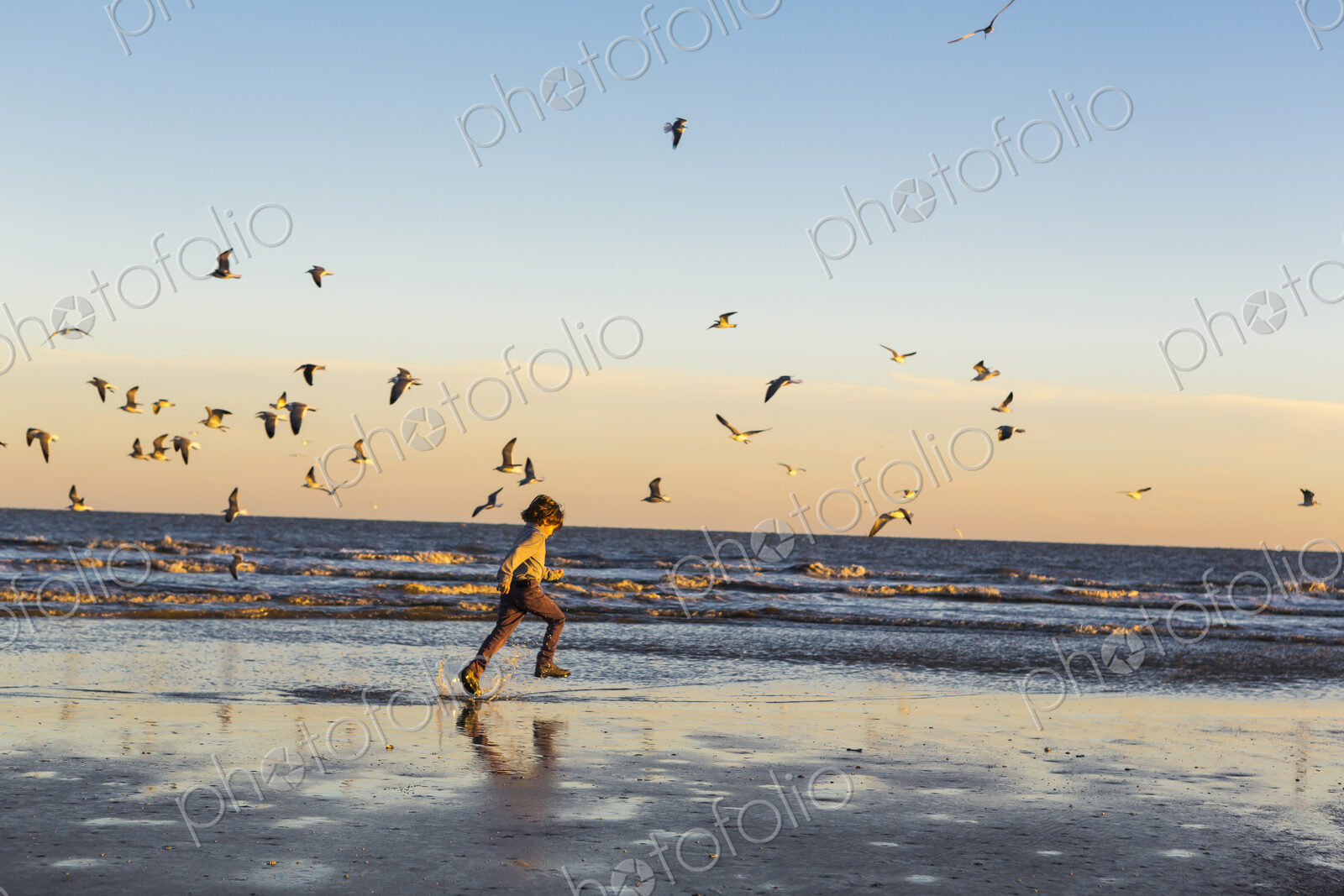 6 year old boy and seagulls, St. Simon’s Island, Georgia