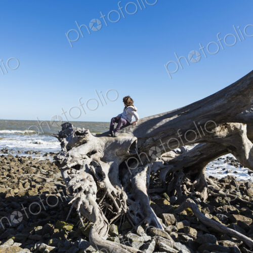 6 year old boy climbing on massive trees lying in ocean water, Driftwood Beach, Jekyll…