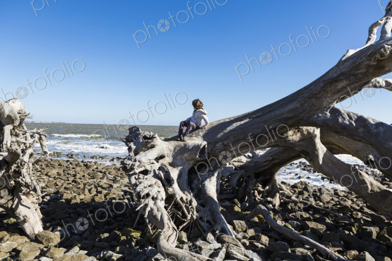 6 year old boy climbing on massive trees lying in ocean water, Driftwood Beach, Jekyll…