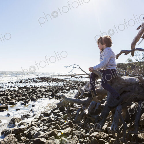 6 year old boy climbing on massive trees lying in ocean water, Driftwood Beach, Jekyll…