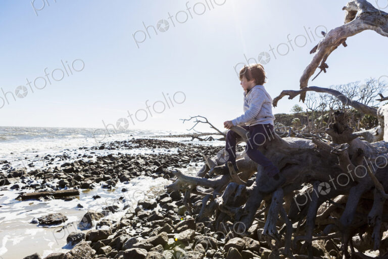 6 year old boy climbing on massive trees lying in ocean water, Driftwood Beach, Jekyll…