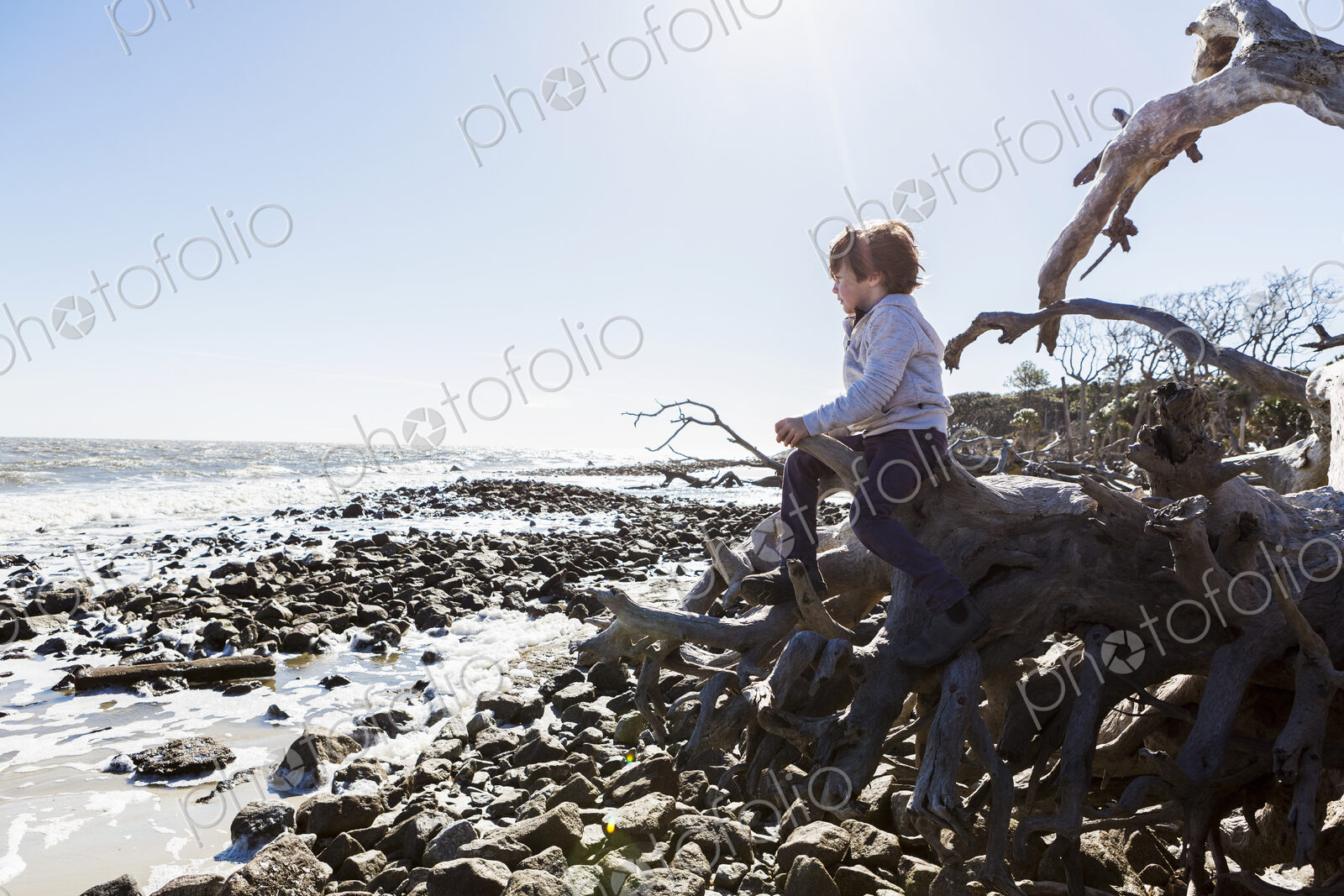 6 year old boy climbing on massive trees lying in ocean water, Driftwood Beach, Jekyll…
