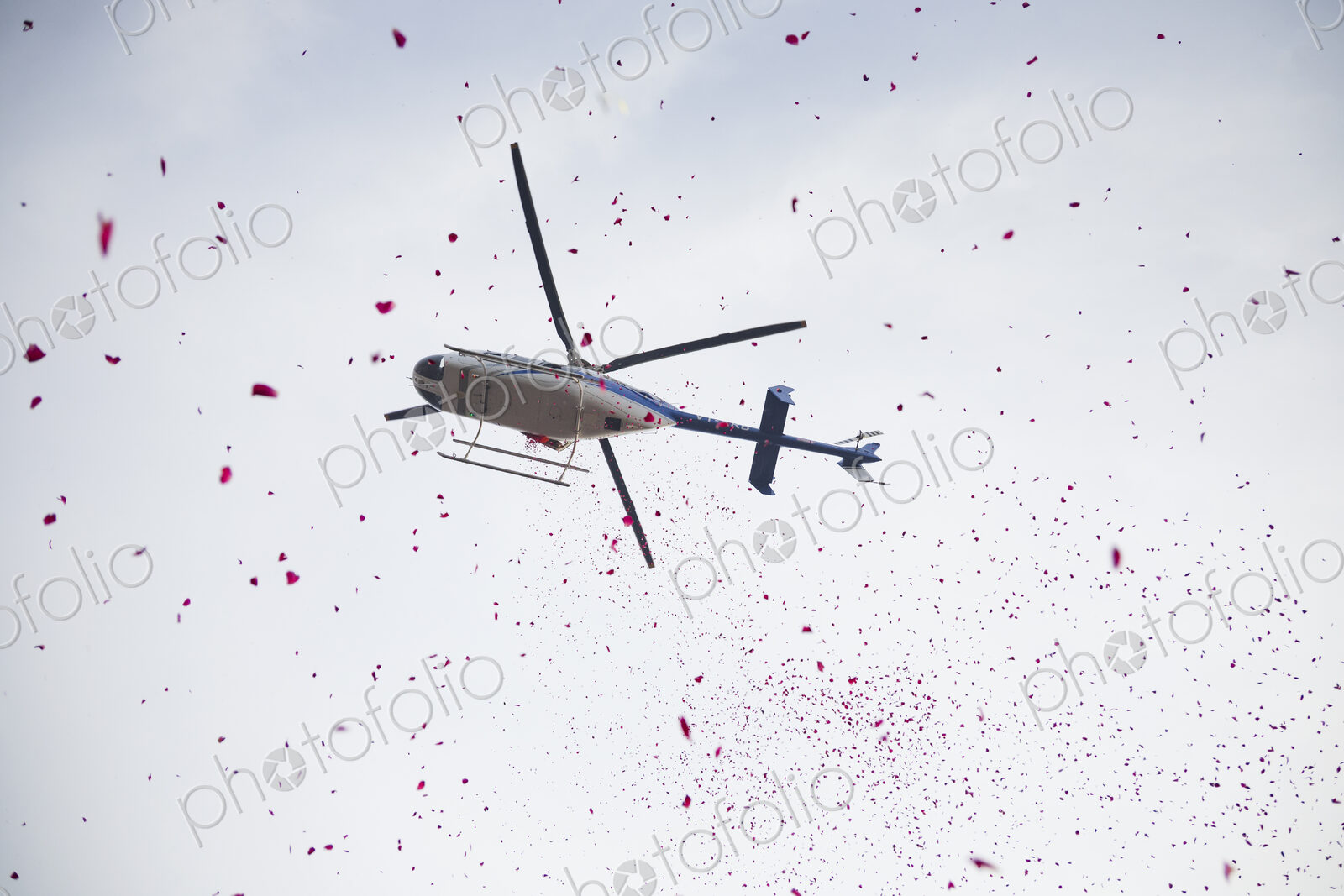 A Helicopter Drops Rose Petals at the Sangam During the Shivrati Holy Bath, the…