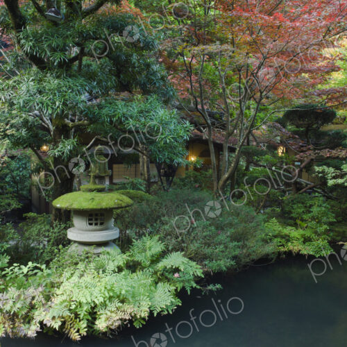 A Japanese Garden at twilight.