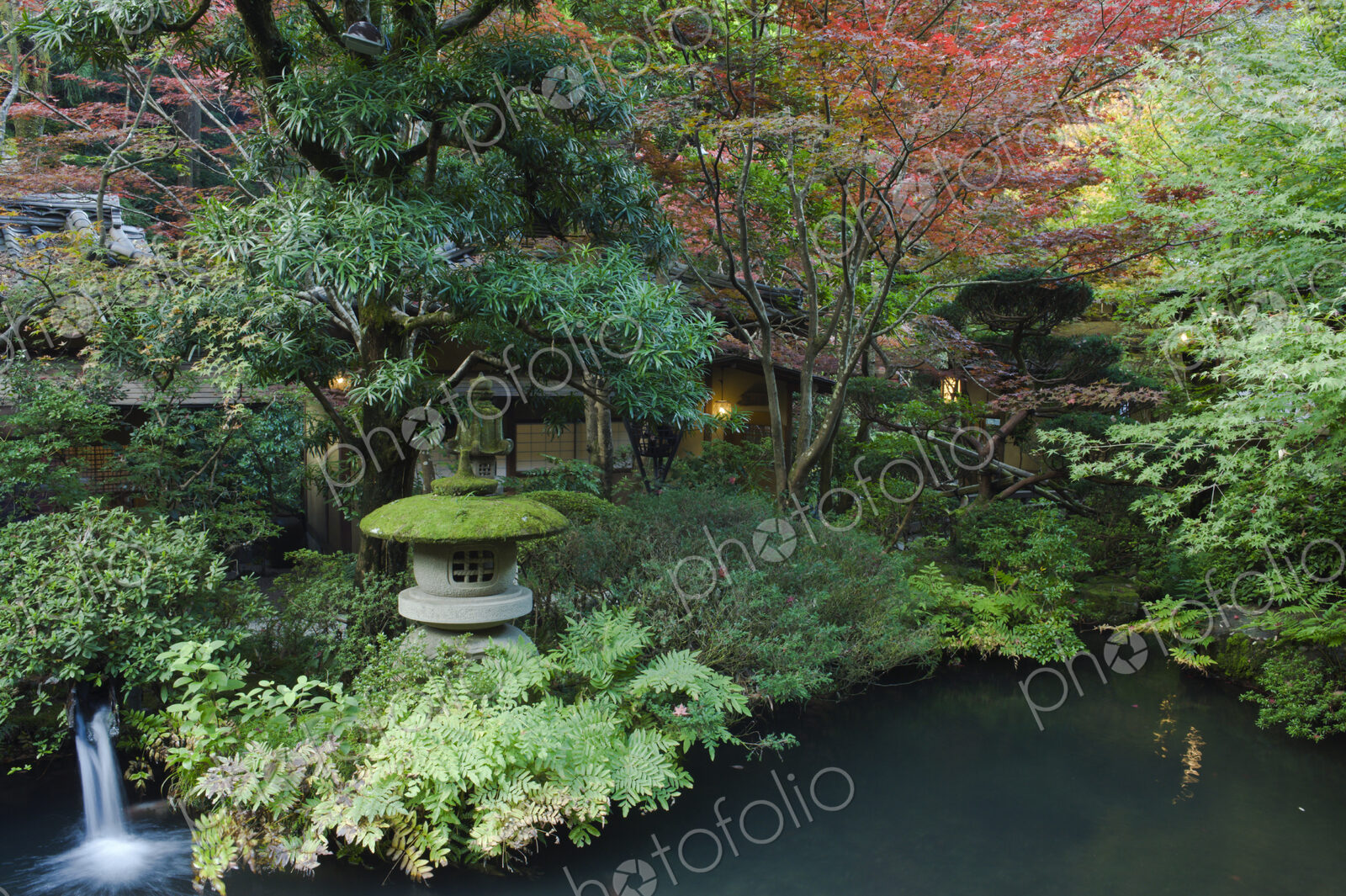 A Japanese Garden at twilight.