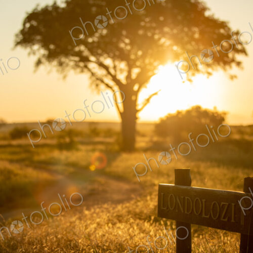 A Londolozi reserve sign, sunset lit. A Londolozi reserve sign, sunset lit.