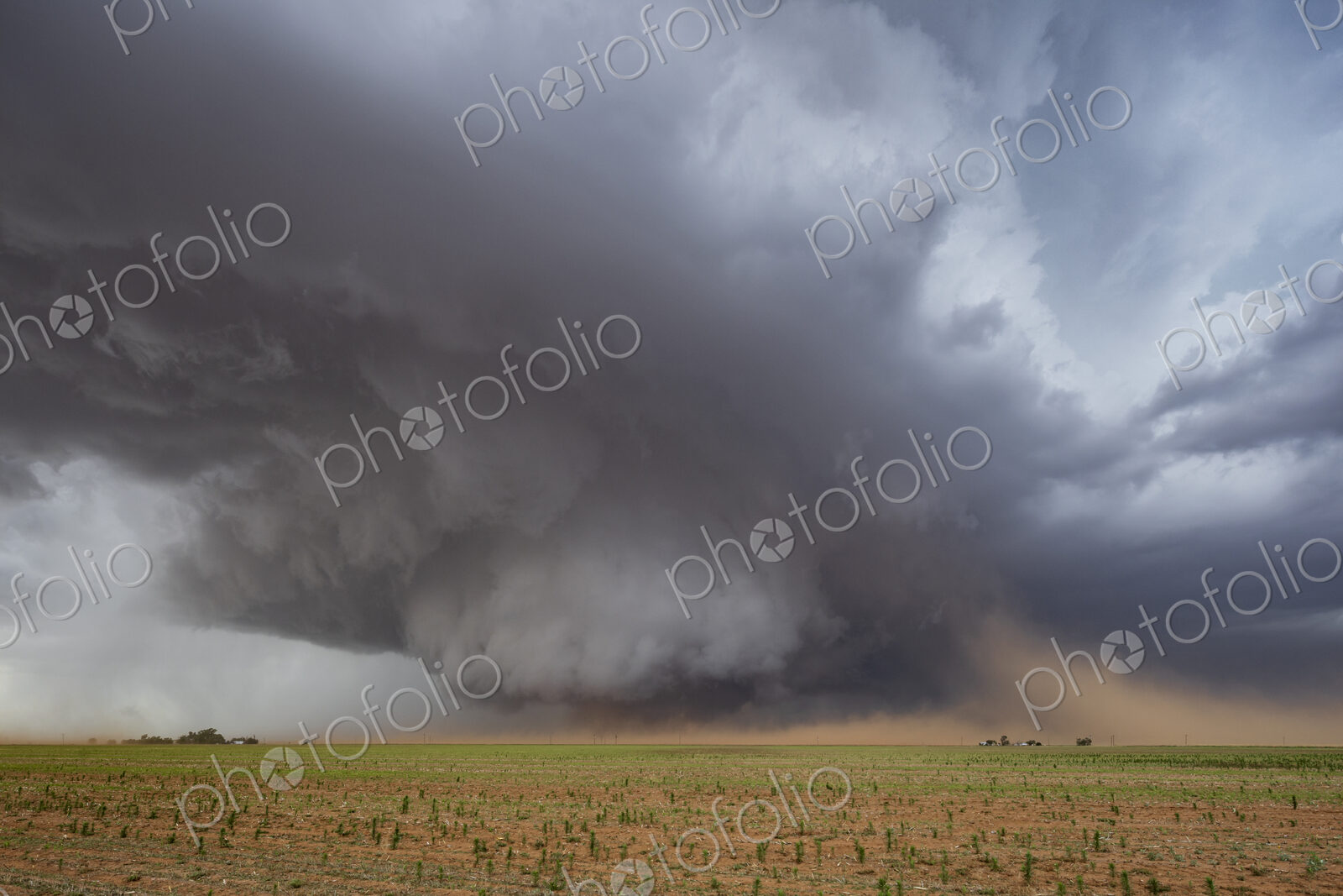 A Monster Wedge Tornado near Morton, clouds gathering in the sky above fields in a…