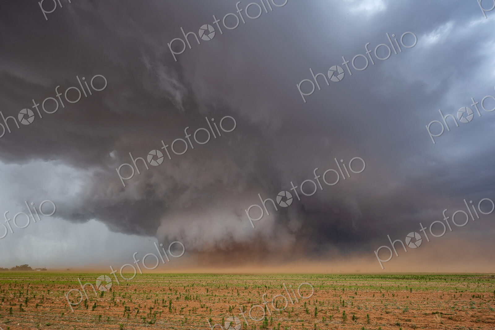 A Monster Wedge Tornado near Morton, clouds gathering in the sky above fields in a…