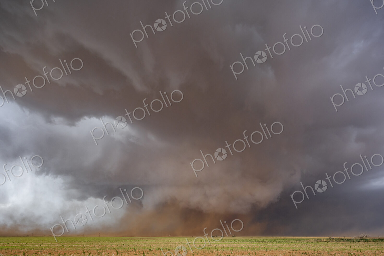 A Monster Wedge Tornado near Morton, clouds gathering in the sky above fields in a…