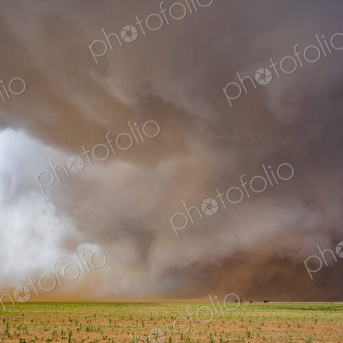 A Monster Wedge Tornado near Morton, clouds gathering in the sky above fields in a…
