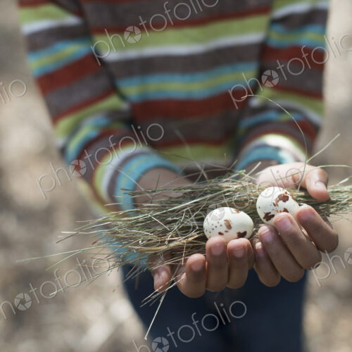 A New York city park in the spring. A small boy in a striped shirt, holding a nest…