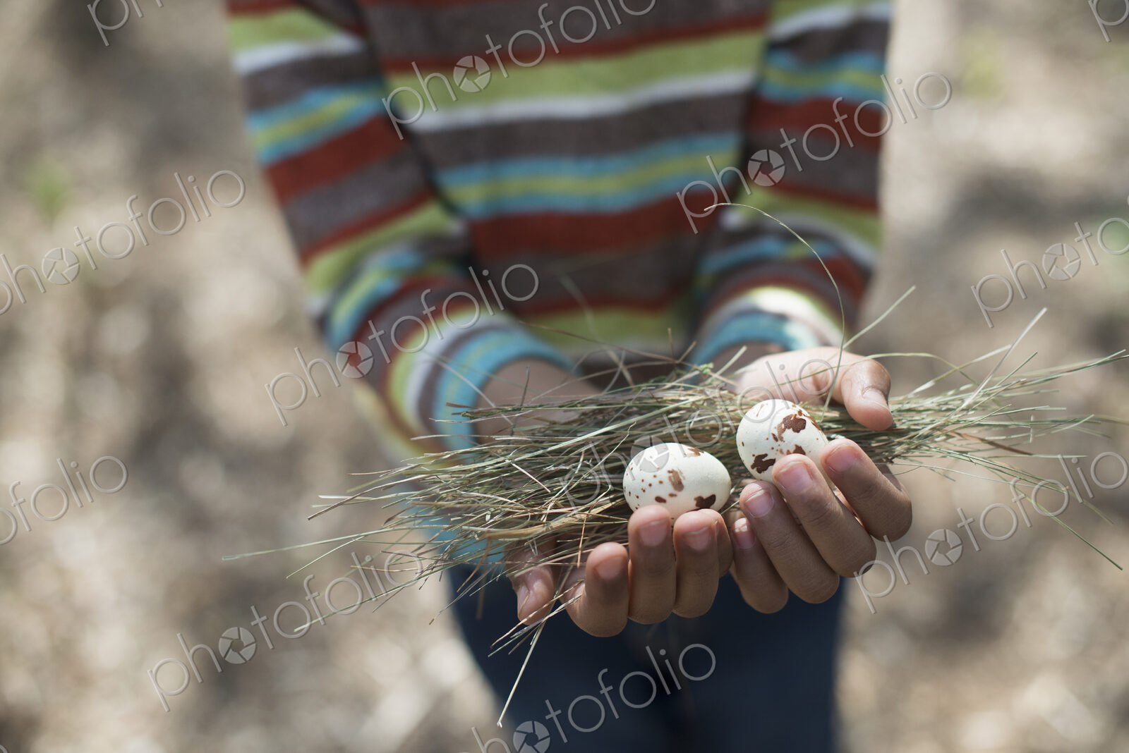 A New York city park in the spring. A small boy in a striped shirt, holding a nest…