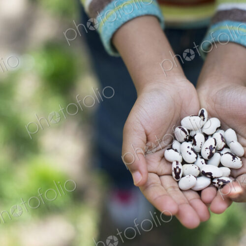 A New York city park in the spring. A young boy holding out a handful of beans.