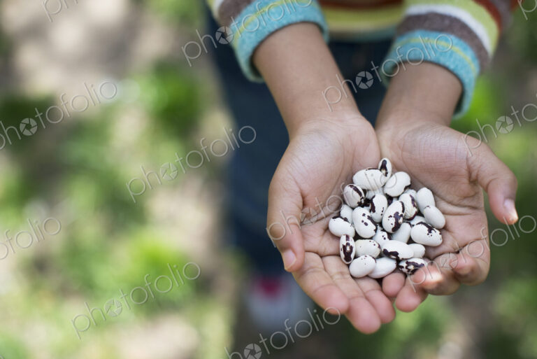 A New York city park in the spring. A young boy holding out a handful of beans.