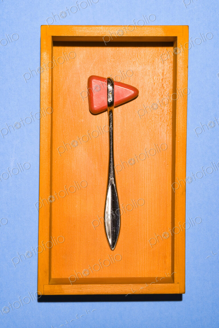 A Reflex hammer, a medical tool for assessing reactions of a patient.