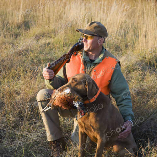 A bird hunter and his trained dog with a dead pheasant in its mouth. Retriever. A bird hunter and his trained dog with a dead pheasant in its mouth. Retriever.