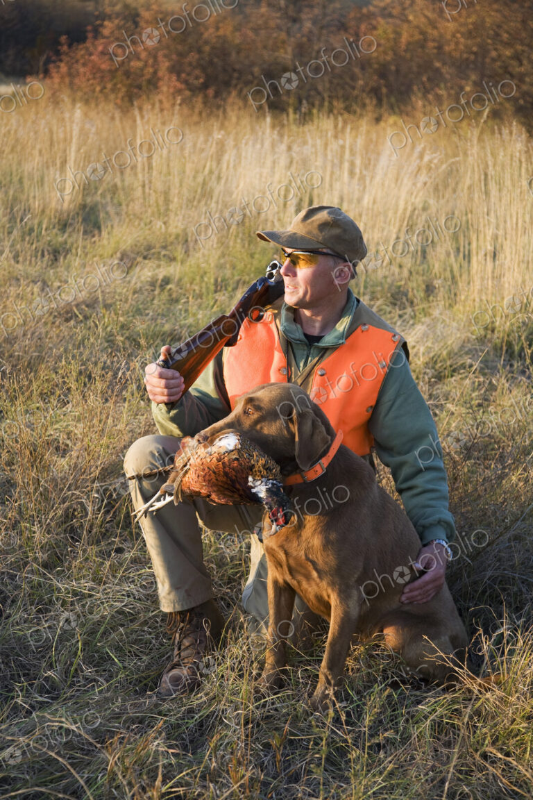 A bird hunter and his trained dog with a dead pheasant in its mouth. Retriever.