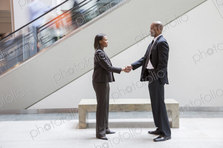 A black businesswoman shaking hands with a black businessman