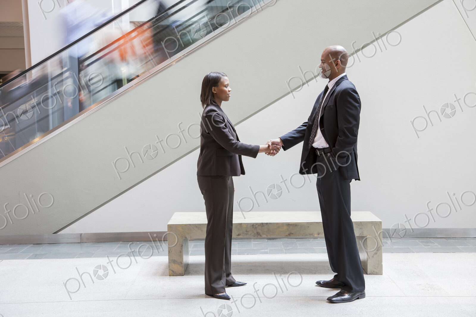 A black businesswoman shaking hands with a black businessman