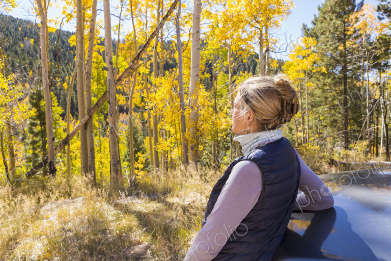 A blonde woman, hiker looking around at autumn aspen trees with bright yellow leaves.