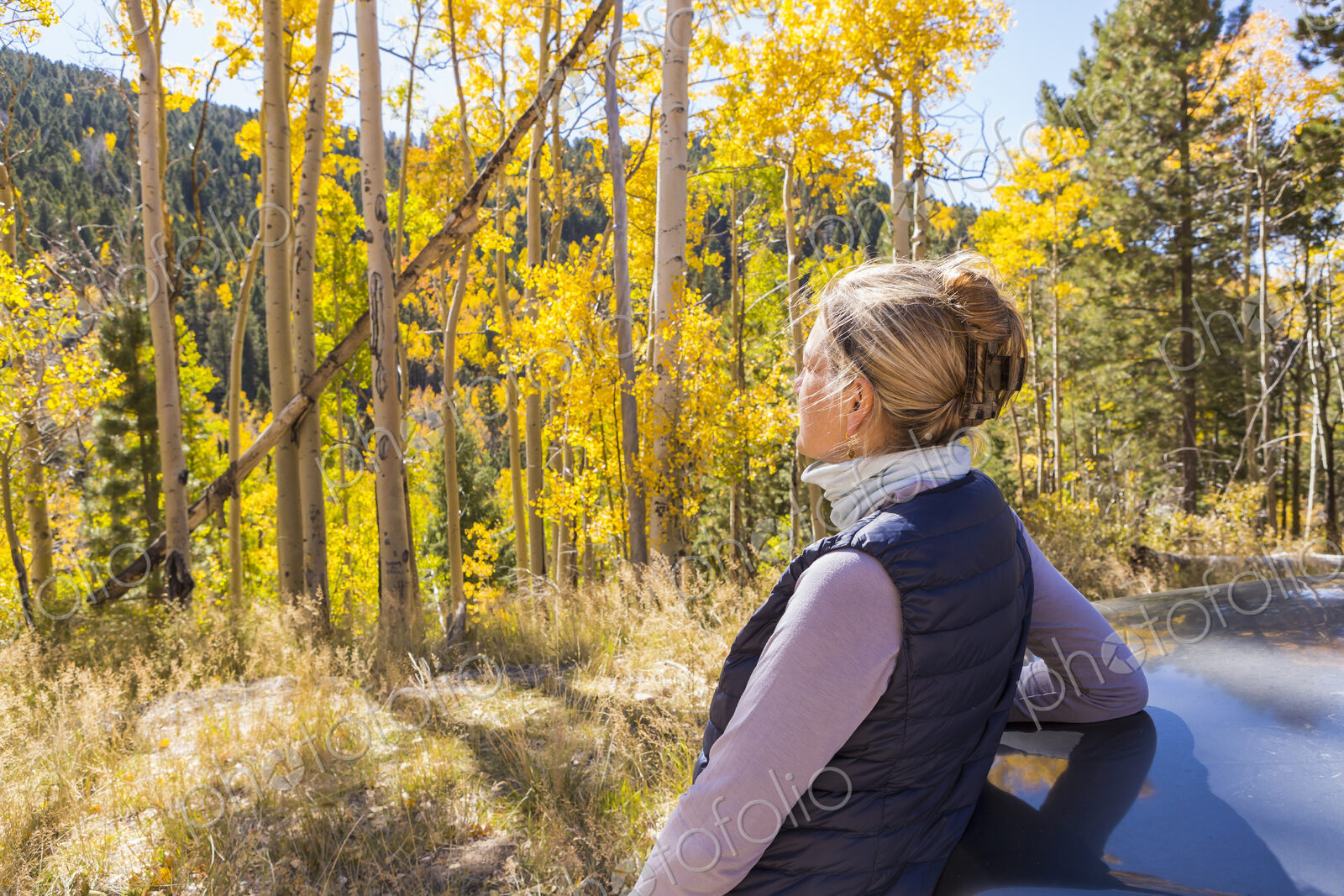 A blonde woman, hiker looking around at autumn aspen trees with bright yellow leaves.