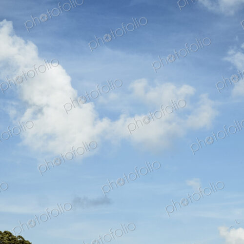 A blue sky with light cloud, and a row of caravans parked in a green field. Trees.