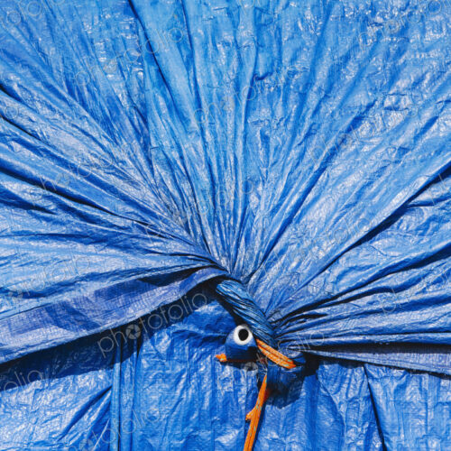 A blue tarpaulin, gathered and tied with rope as a covering over piles of commercial…