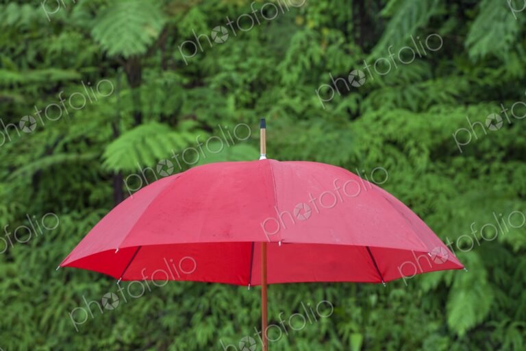 A bold red umbrella stands out vividly against the lush green backdrop of El Yunque…