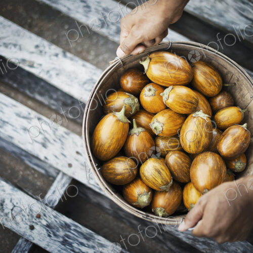 A bowl of freshly harvested vegetables, acorn squash being held in two hands.