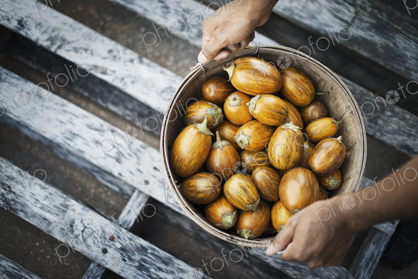 A bowl of freshly harvested vegetables, acorn squash being held in two hands.