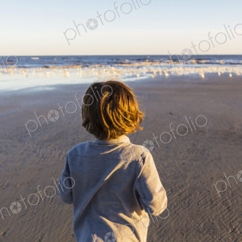 A boy walking on a beach, flock of seagulls on the sand. St. Simon's Island, Georgia