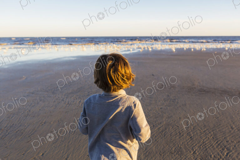 A boy walking on a beach, flock of seagulls on the sand. St. Simon's Island, Georgia