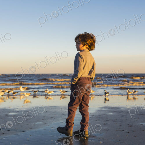A boy walking on a beach, flock of seagulls on the sand. St. Simon's Island, Georgia