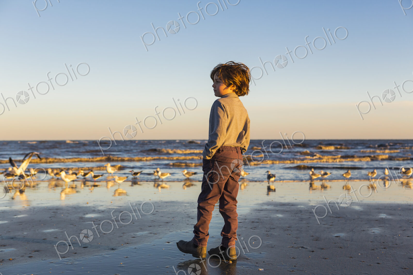 A boy walking on a beach, flock of seagulls on the sand. St. Simon’s Island, Georgia