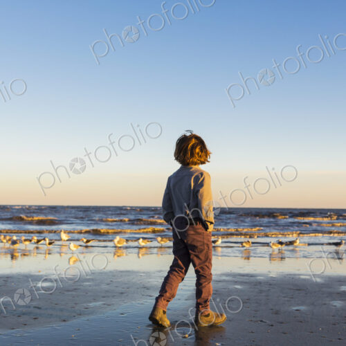 A boy walking on a beach, flock of seagulls on the sand. St. Simon's Island, Georgia