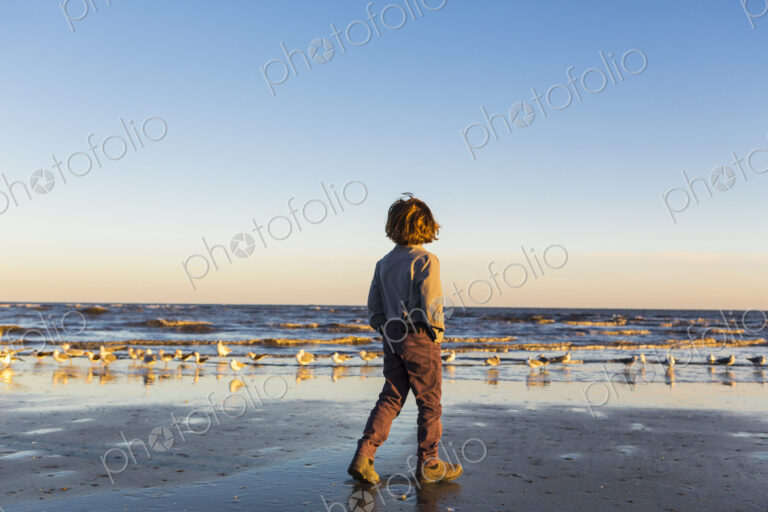 A boy walking on a beach, flock of seagulls on the sand. St. Simon's Island, Georgia