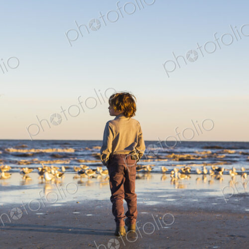 A boy walking on a beach hands in pockets, flock of seagulls on the sand. St. Simon's…