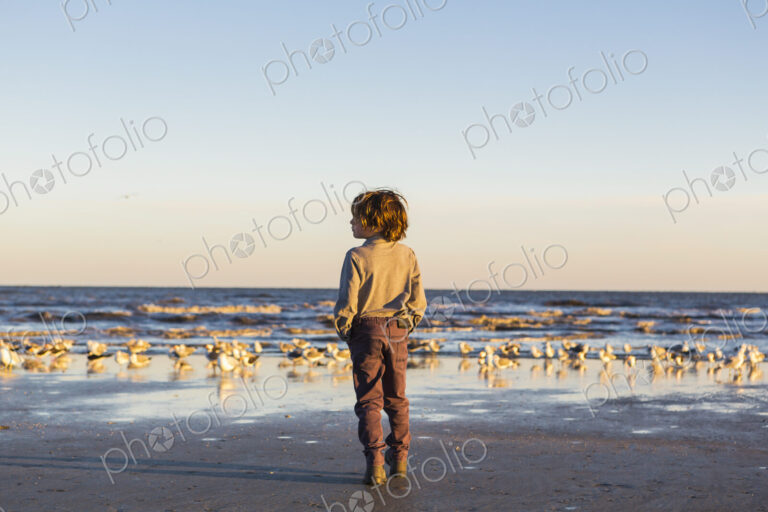 A boy walking on a beach hands in pockets, flock of seagulls on the sand. St. Simon's…