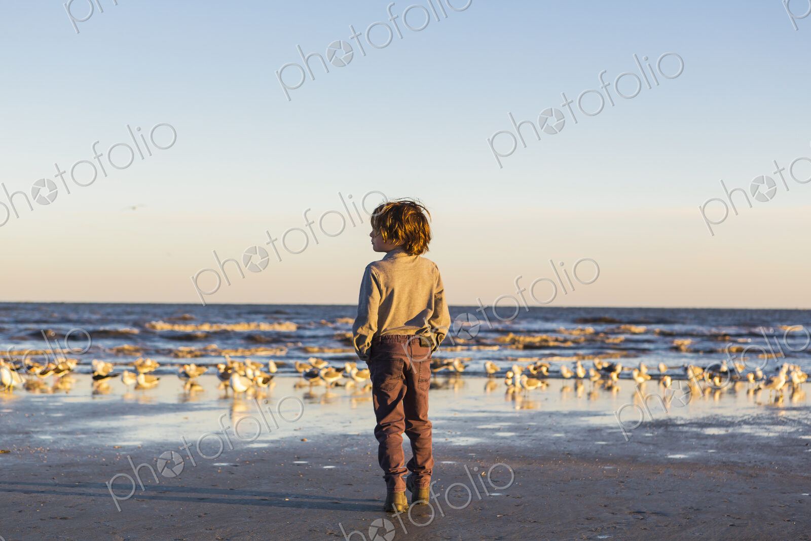 A boy walking on a beach hands in pockets, flock of seagulls on the sand. St. Simon’s…